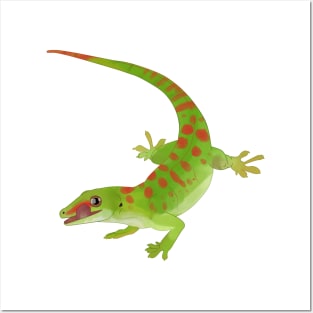 Day Gecko, Colorful Lizard, Gecko Lover Gift Posters and Art